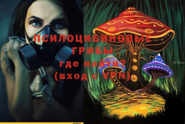 ECSTASY Навашино
